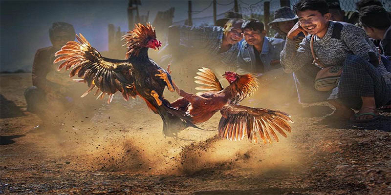 567tv chơi bắn cá đổi thưởng