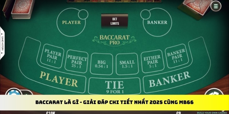 567tv gà chọi cu cần