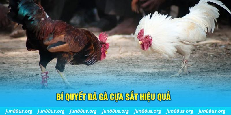 567tv xin 1 slot là gì