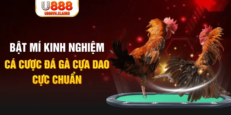 567tv tỷ lệ cá cược châu á là gì