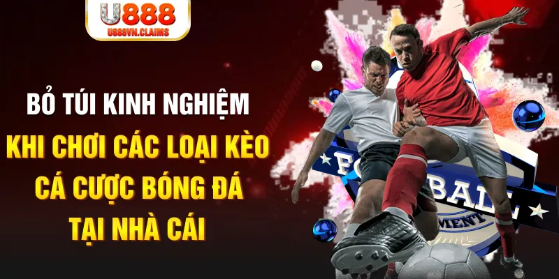 567tv Tài Xỉu