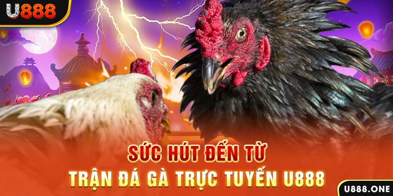 567tv nổ hũ b29 là gì