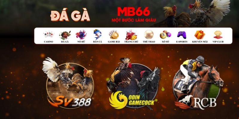 567tv đăng nhập poker số 1