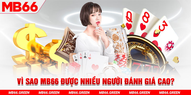 567tv đá gà