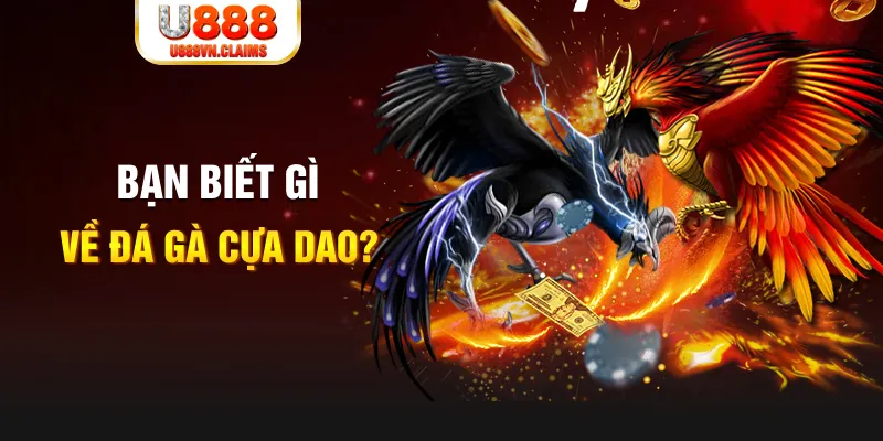 567tv nổ hủ là gì