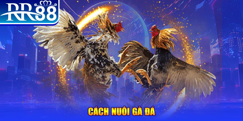 567tv xổ số an giang
