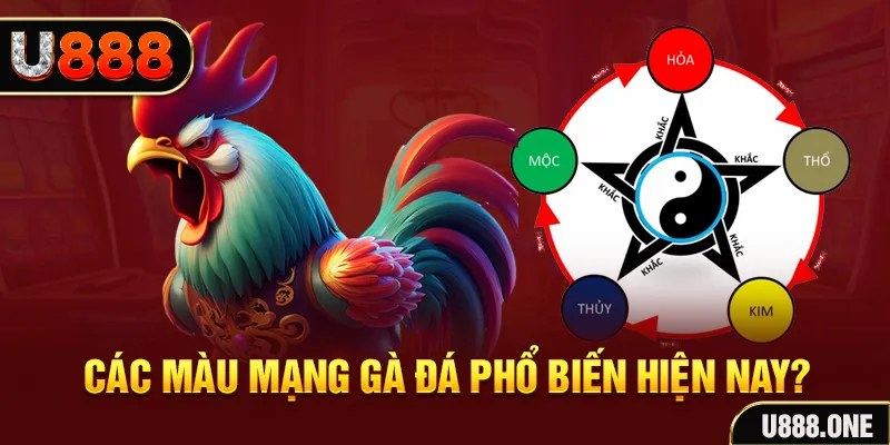 567tv trực tiếp đá gà 88