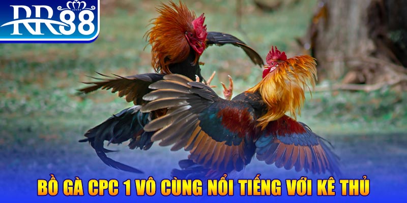567tv game máy bay nổ hũ