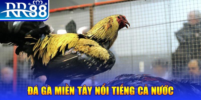 567tv JILI Game Bài 3d