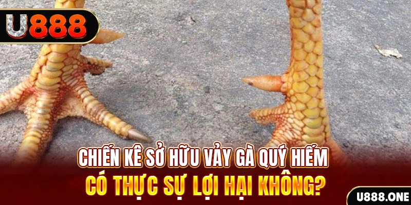 567tv nohu .mx nổ hủ là gì