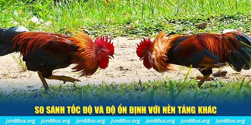 567tv đá gà hôm nay