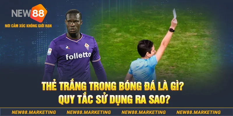 567tv gà chọi mộc hóa