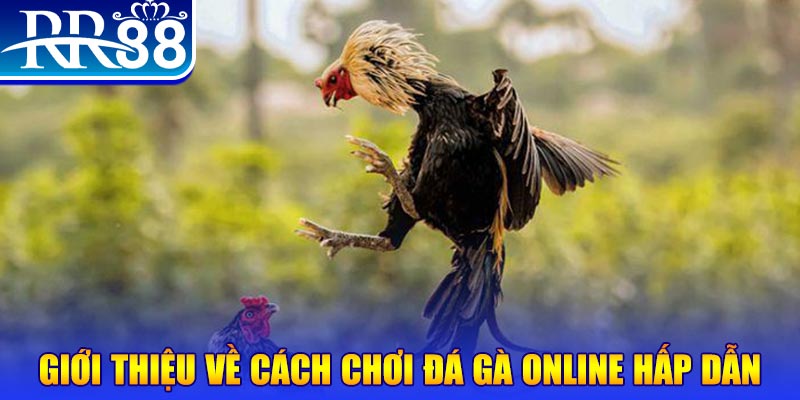567tv game nổ hũ rút tiền mặt là gì