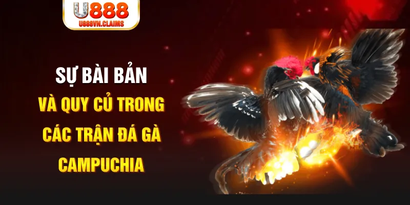 567tv YGR Điện Tử