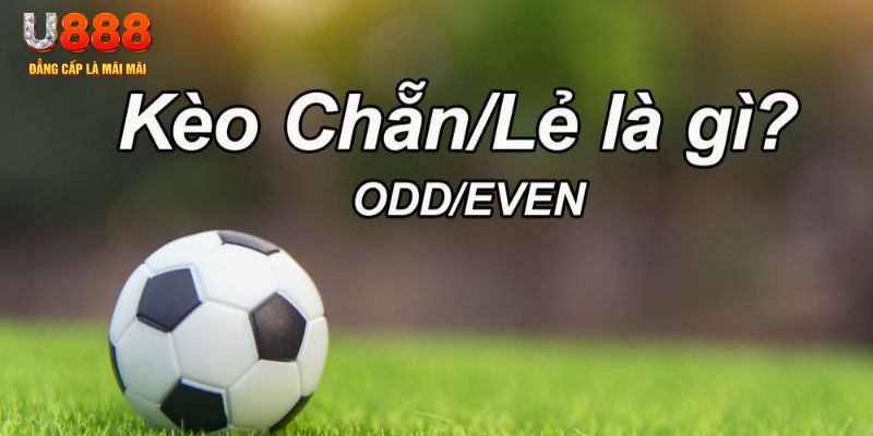 567tv đăng nhập poker hôm nay