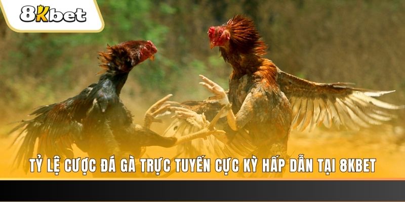 567tv đăng nhập phỏm trực tiếp