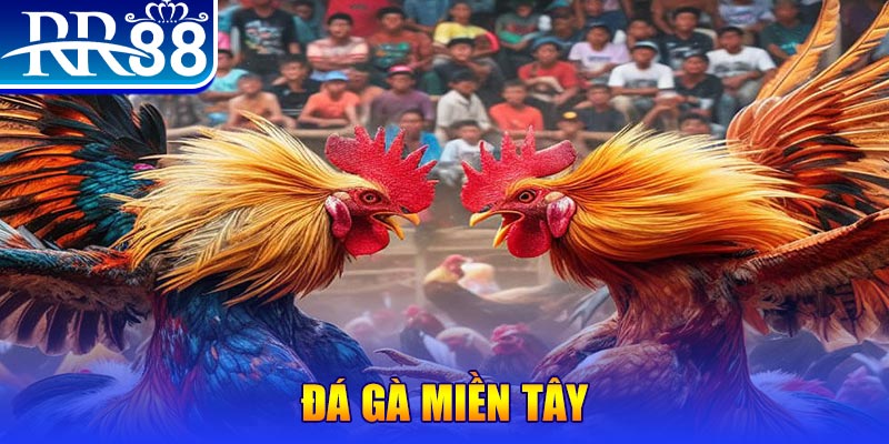 567tv chơi slot là gì