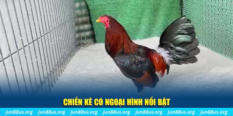 567tv chạy quảng cáo cho game bài bị phạt như thế nào