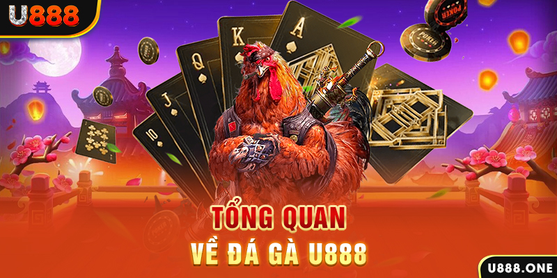 567tv ILOVEU Điện Tử
