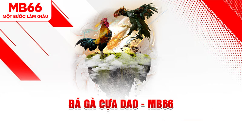 567tv đá gà sv388 gold